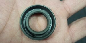 Oil Seal
