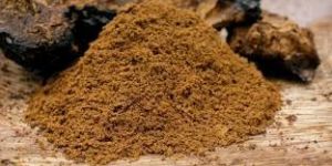 Mushroom Powder