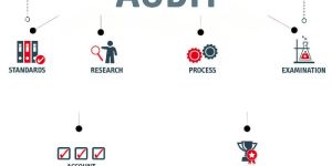 Store Audit Services