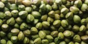 Tendor Coconut Watter