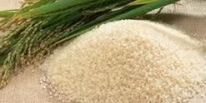 Broken Rice