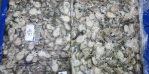 Frozen Baby Cuttlefish