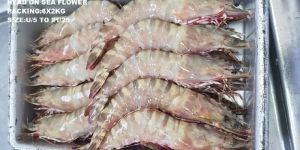 Frozen Flower Prawn