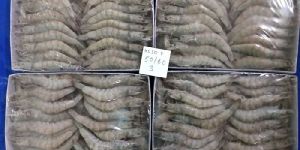 Frozen Vannamei Prawn