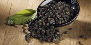 Black Pepper