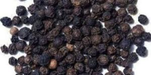 Black Pepper