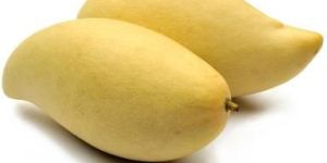 Totapuri Mango