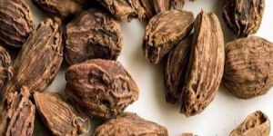 Black Cardamom