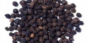 Black Pepper Seeds