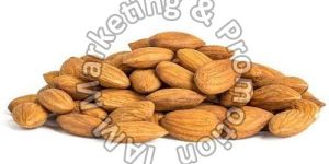 Almond Nuts