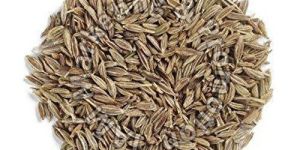 Cumin Seeds