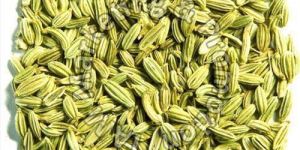 Fennel Seeds