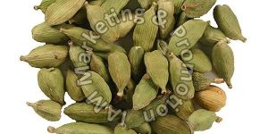 Green Cardamom Pods