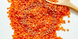 Red Lentils