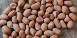 Ground Nuts