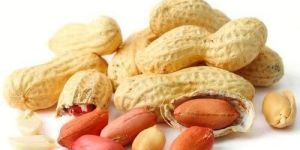 Groundnuts