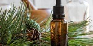 Pine Oil