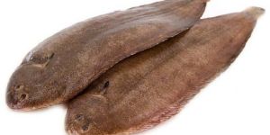 Frozen Sole Fish
