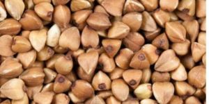 Buckwheat Seeds