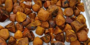 Cow & Ox Gallstones