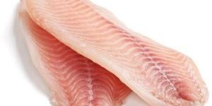 FROZEN TILAPIA FISH FILLET