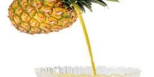 Pineapple Pulp