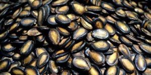 Watermelon Seeds