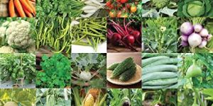 Hybrid Vegetable Seeds