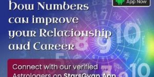 Numerologists Service