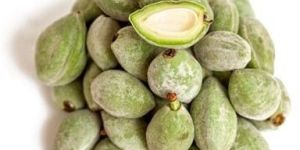 Fresh Green Almonds