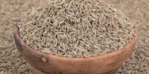 Cumin Seed