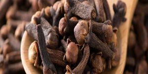 Cloves