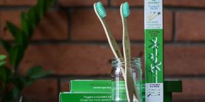 Neem Wood Toothbrush