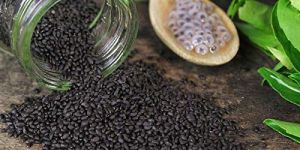 Basil Seeds