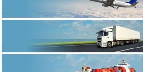 Sea Freight Forwarding Services