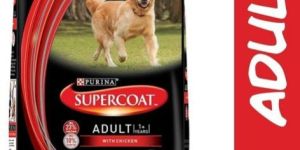 Adult Dog Chicken Food
