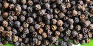 Black Pepper