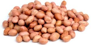 Java Peanuts
