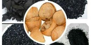 Coconut Shell Activated Carbon