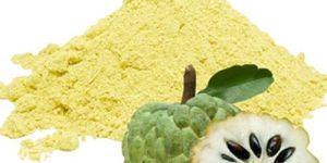 Custard Apple Powder