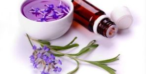 Lavender Essential Oil