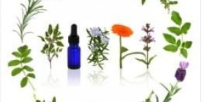 Oregano Essential Oil