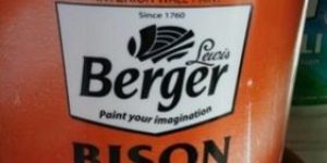 Berger Bison Acrylic Distemper