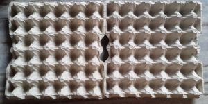 PAPER EGG TRAY