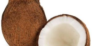 Coconut