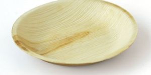 Paper Plate