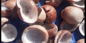 Dry Coconuts