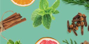 Cajeput Aromatherapy Essential Oil