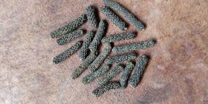 Long Pepper