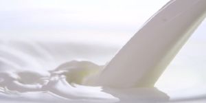 Acrylic Emulsion Paint